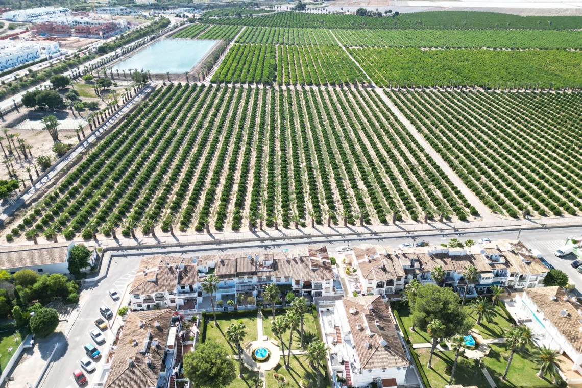 Poolside Bungalow Orihuela Costa - Photo 37