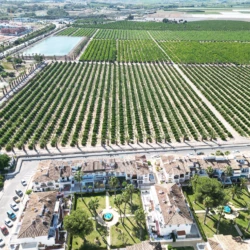 Poolside Bungalow Orihuela Costa - Photo 37