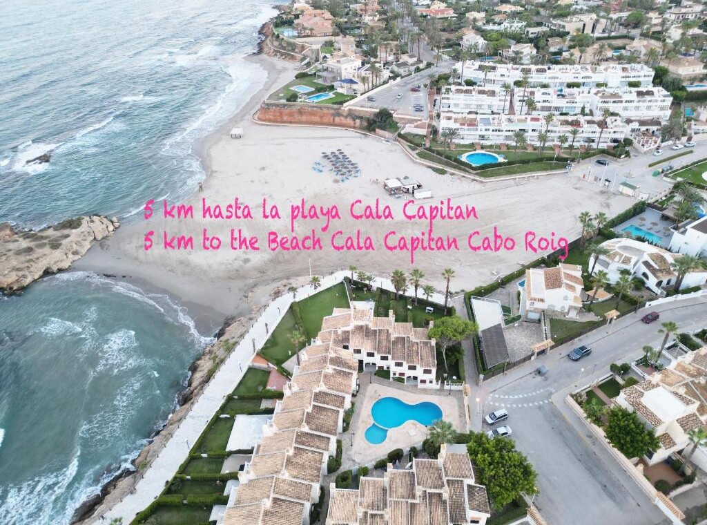 Luxury Bungalow Lago Jardin Costa Blanca - Photo 22