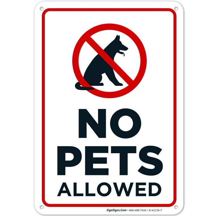 Holiday Apartment Lago Jardin Torrevieja - Photo 33