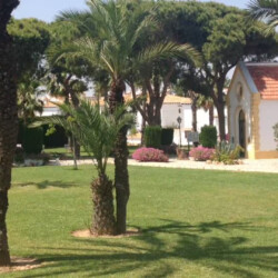 Bungalow Torrevieja Lake Garden - Photo 15