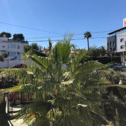 Family Apartment Lago Jardin Torrevieja - Photo 7