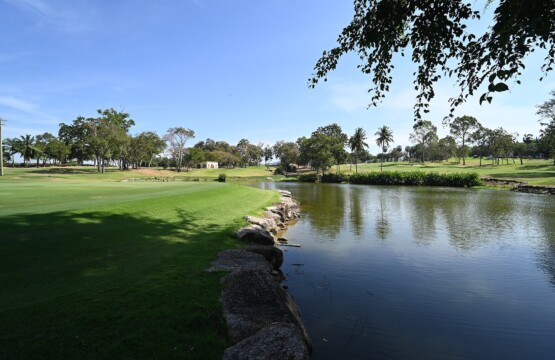 Sunlit golf fairway beside a calm water hazard lined with palm trees