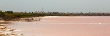 Torrevieja