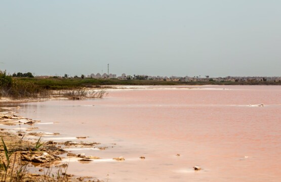 Pink Salt Lake Laguna Rosa in Torrevieja, Costa Blanca, Spain