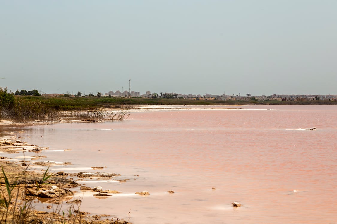 Pink Salt Lake Laguna Rosa in Torrevieja, Costa Blanca, Spain